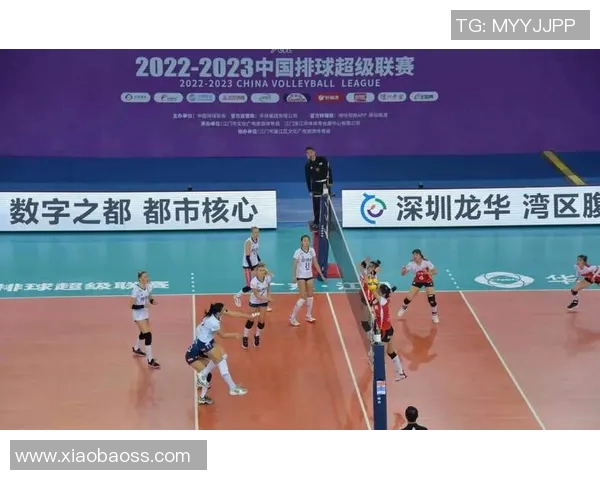 深圳排球队的实力解析与未来发展展望探讨